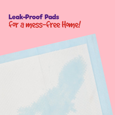 Puppy Dog/Kitten Toilet Training Pads - Pack of 50 Small